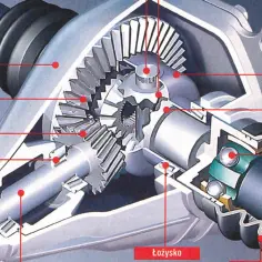 Przekrój mechanizmu dyferencjału z kołami zębatymi, łożyskami i półosią.