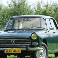 Klasyczny, zielony Peugeot 404 na tle zieleni.