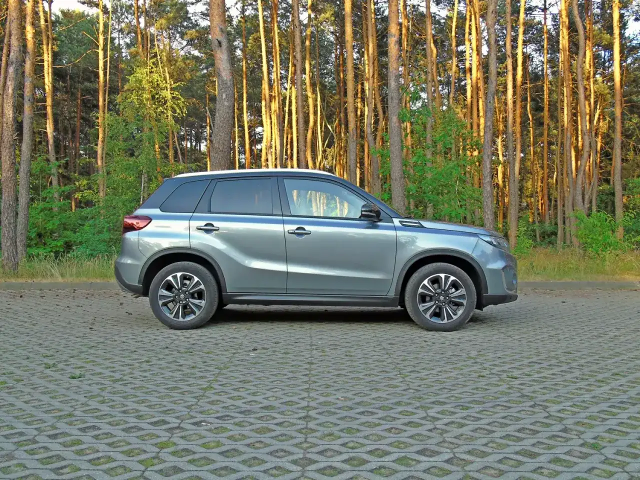 Szary Suzuki Vitara Hybrid zaparkowany na tle lasu.